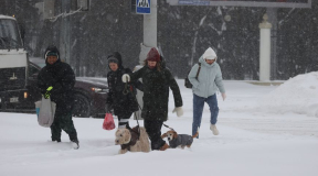 Задержка транспорта, порванный купол футбольного манежа и Лукашенко с лопатой. Последствия мощного снегопада