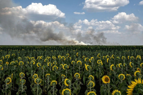 «Либо Путин поведет своих ветеранов на Берлин, либо ему очень повезет, если они поведут его к прокурору»